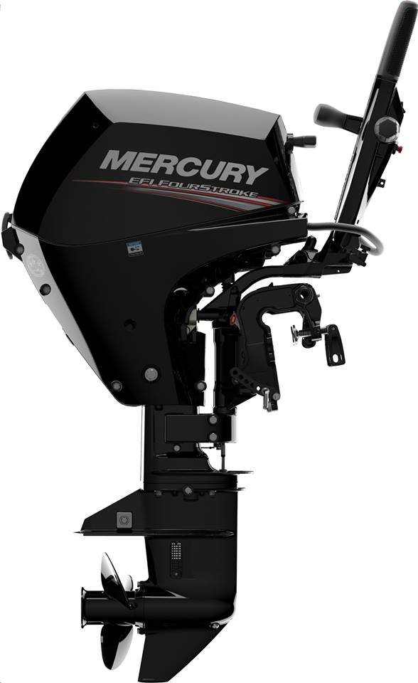 лодочный мотор Mercury F10MH