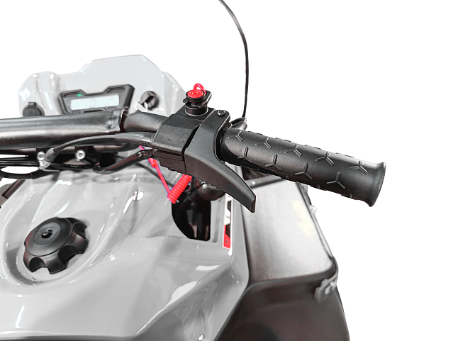 TUNGUS 500L EFI